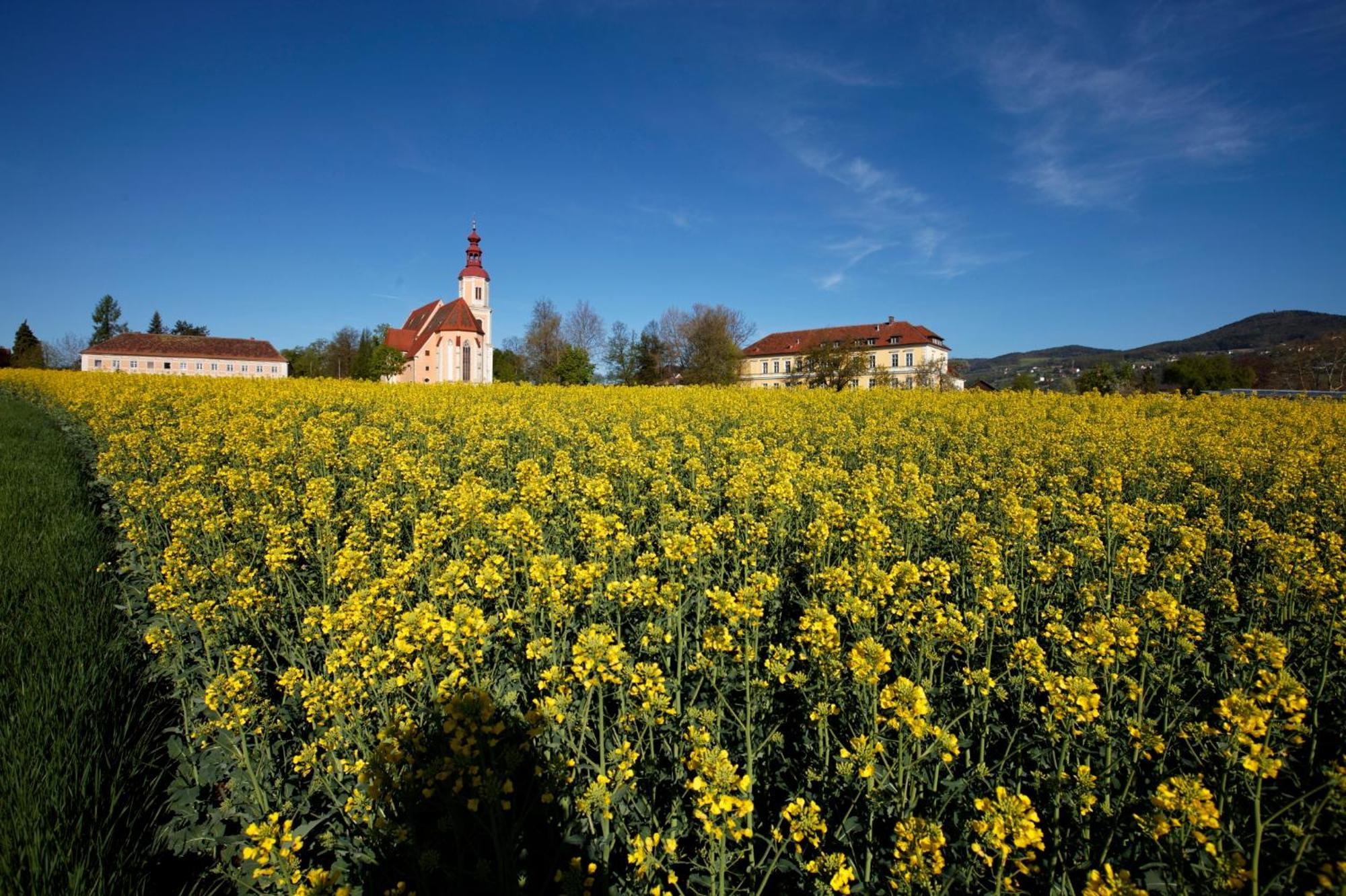 Gasthof Pack "Zur Lebing Au" Hartberg Dış mekan fotoğraf
